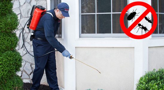 Fethiye Bit İlaçlama böcek ilaçlama ve haşere kontrolü — ilaclama-tr.com